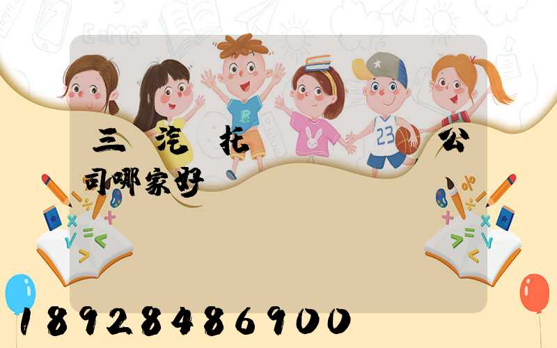 三亞汽車托運(yùn)公司哪家好
