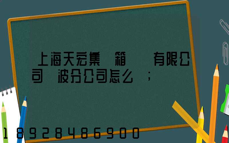 上海天宏集裝箱儲運有限公司寧波分公司怎么樣