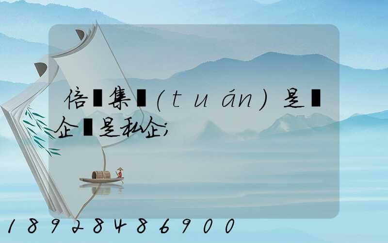 倍豐集團(tuán)是國企還是私企