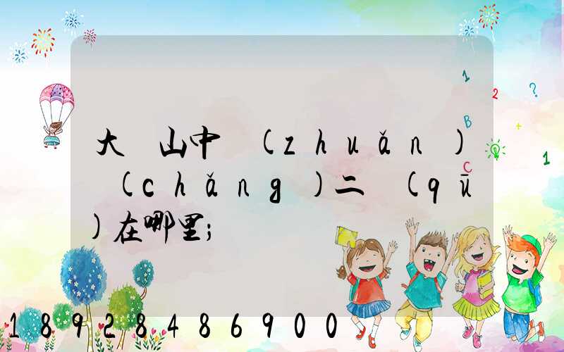 大嶺山中轉(zhuǎn)場(chǎng)二區(qū)在哪里