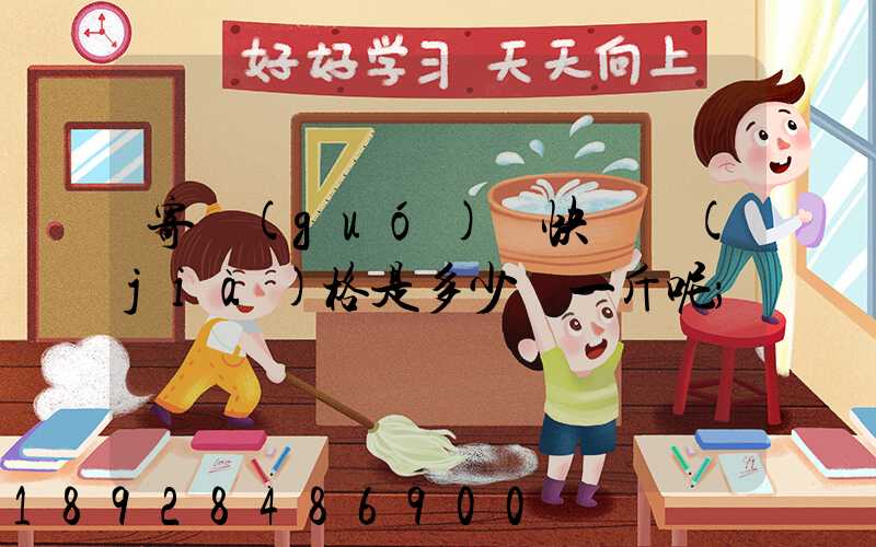 寄國(guó)際快遞價(jià)格是多少錢一斤呢
