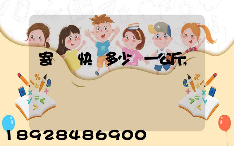 寄國際快遞多少錢一公斤