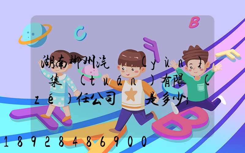 湖南郴州汽車運(yùn)輸集團(tuán)有限責(zé)任公司電話是多少