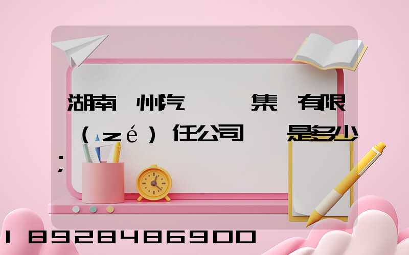 湖南郴州汽車運輸集團有限責(zé)任公司電話是多少