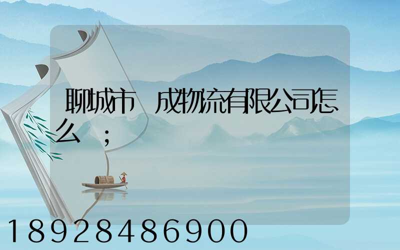 聊城市龍成物流有限公司怎么樣
