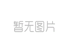 中國廣州至德國電池鐵路出口運(yùn)輸